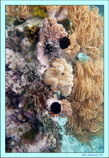 2011 - 08 - Bohey Dulang Island 06